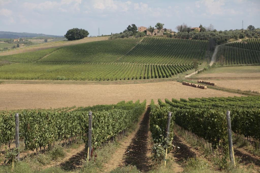 Agriturismo Spazzavento Vinci Buitenkant foto